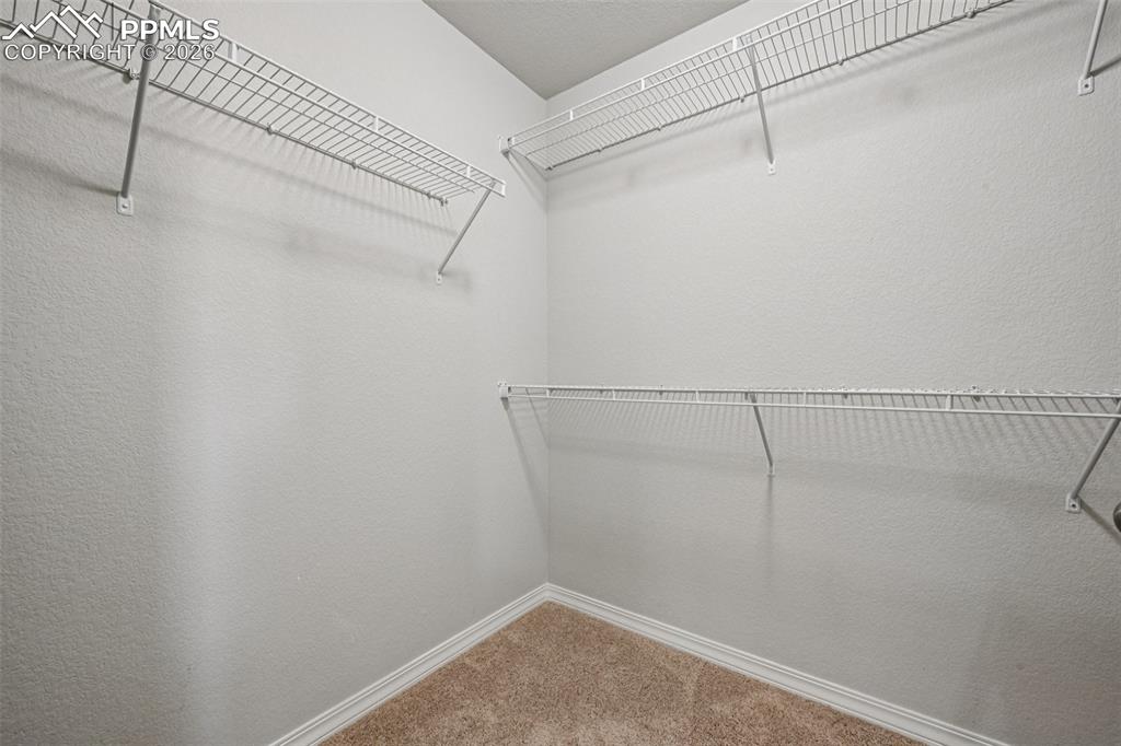 6796 Spruce Hill Court Colorado Springs CO 80923