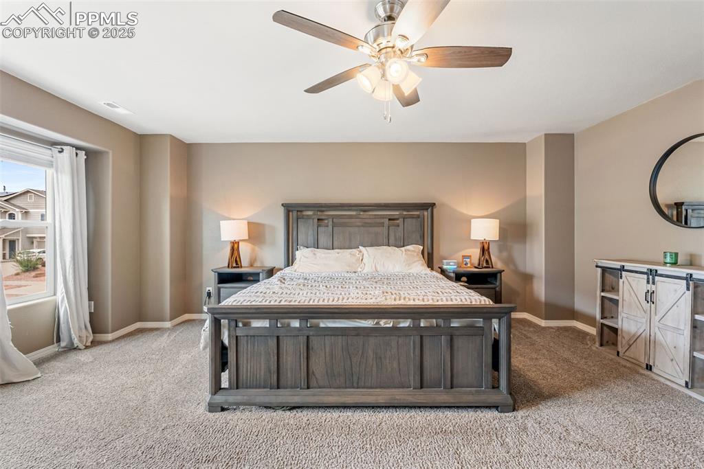 7409 Thorn Brush Way Colorado Springs CO 80923