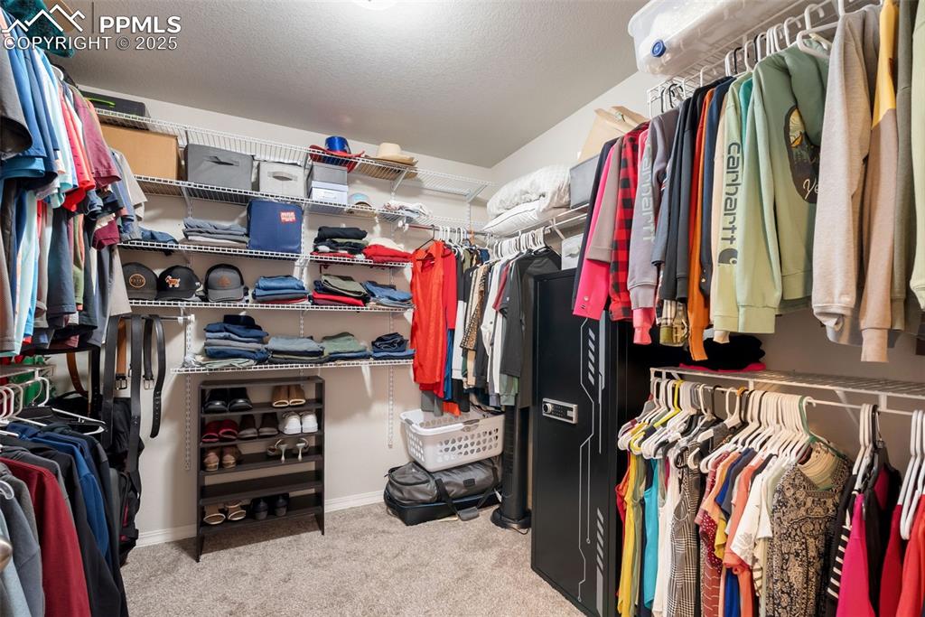 7409 Thorn Brush Way Colorado Springs CO 80923