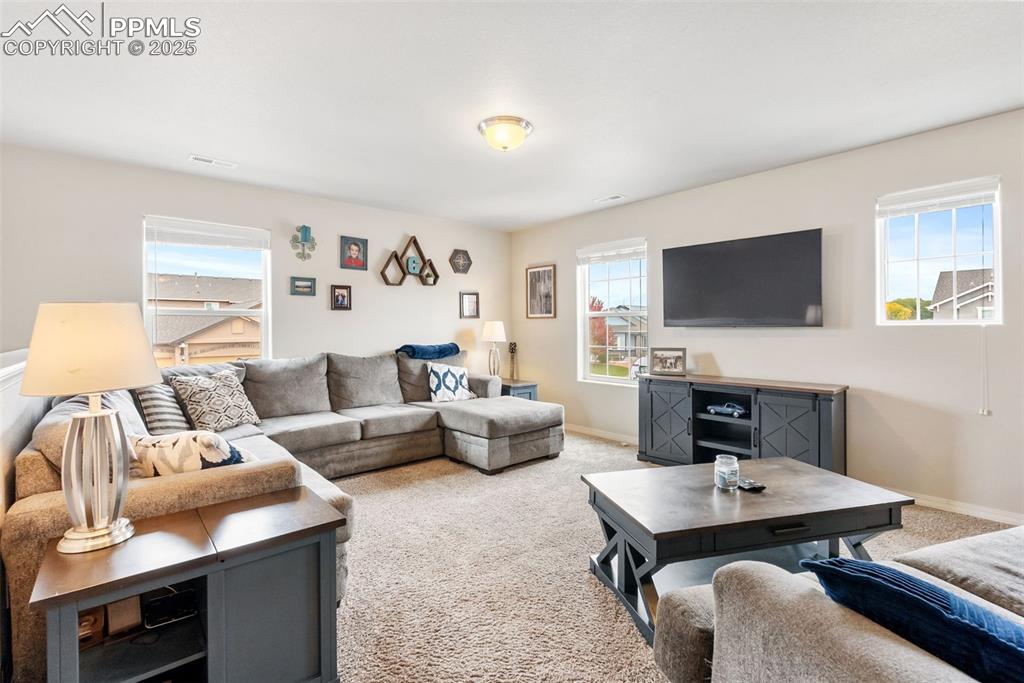 7409 Thorn Brush Way Colorado Springs CO 80923