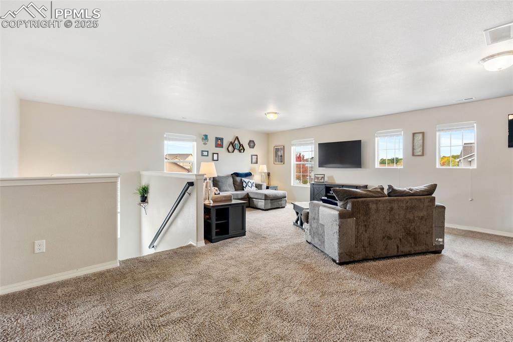 7409 Thorn Brush Way Colorado Springs CO 80923