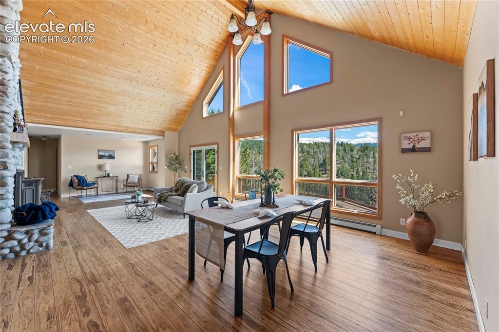 1008 Cantiberry Road Divide CO 80814