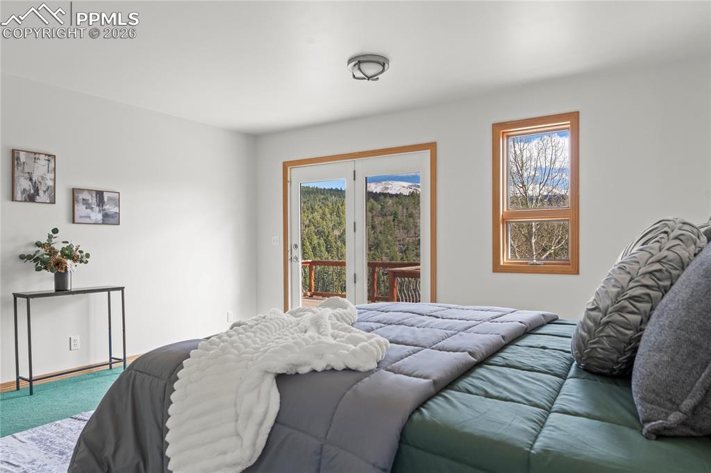 1008 Cantiberry Road Divide CO 80814