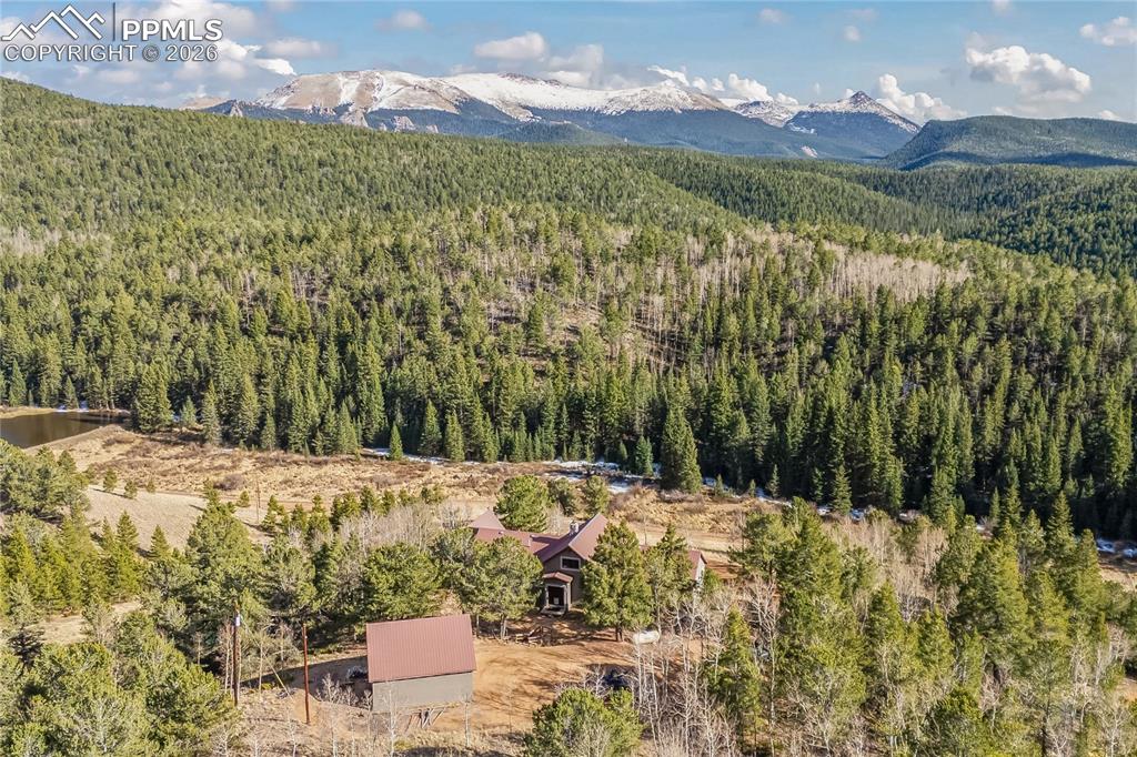 1008 Cantiberry Road Divide CO 80814