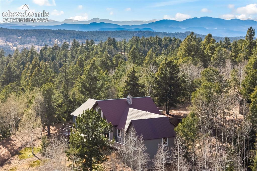1008 Cantiberry Road Divide CO 80814