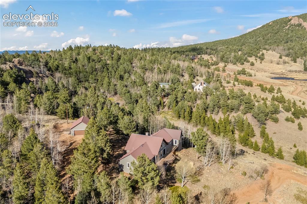 1008 Cantiberry Road Divide CO 80814