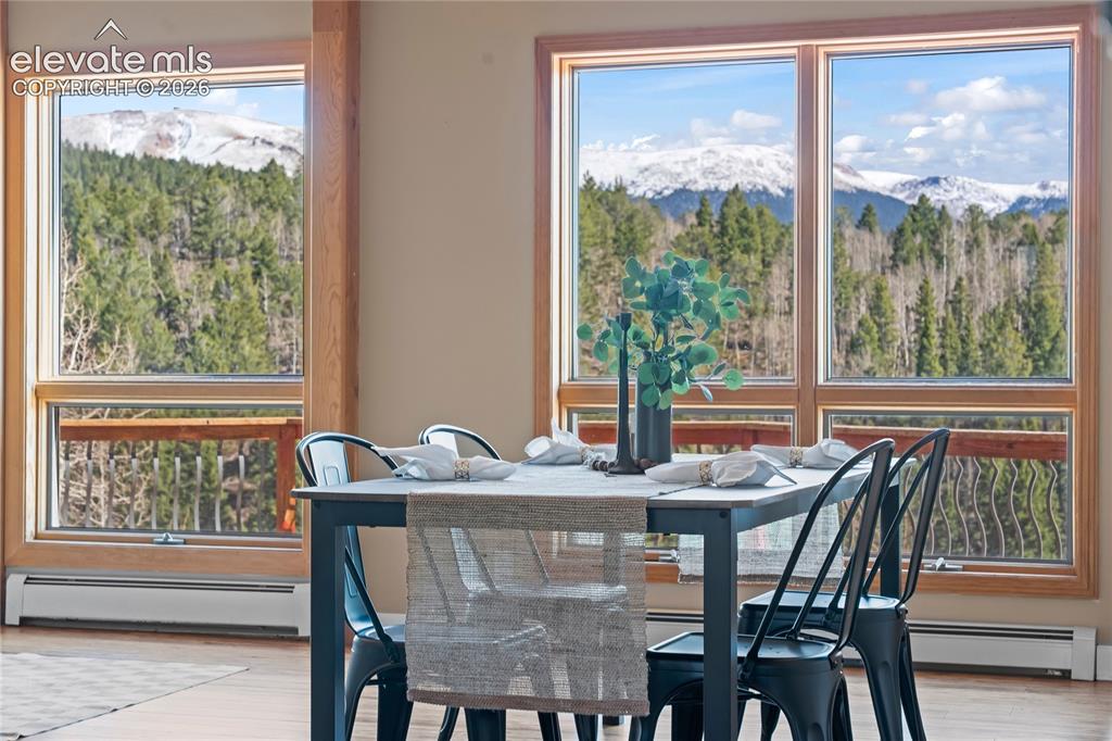 1008 Cantiberry Road Divide CO 80814