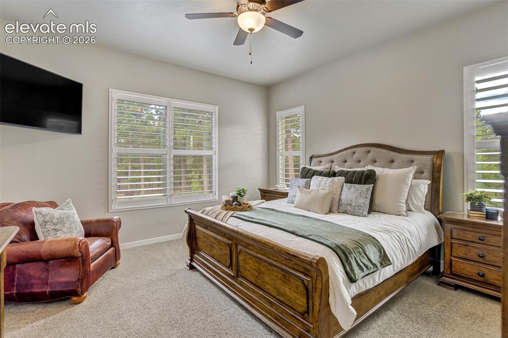 1542 Summerglow Lane Monument CO 80132