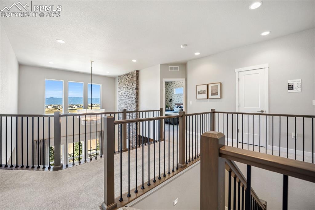 6460 Cribbage Trail Colorado Springs CO 80924