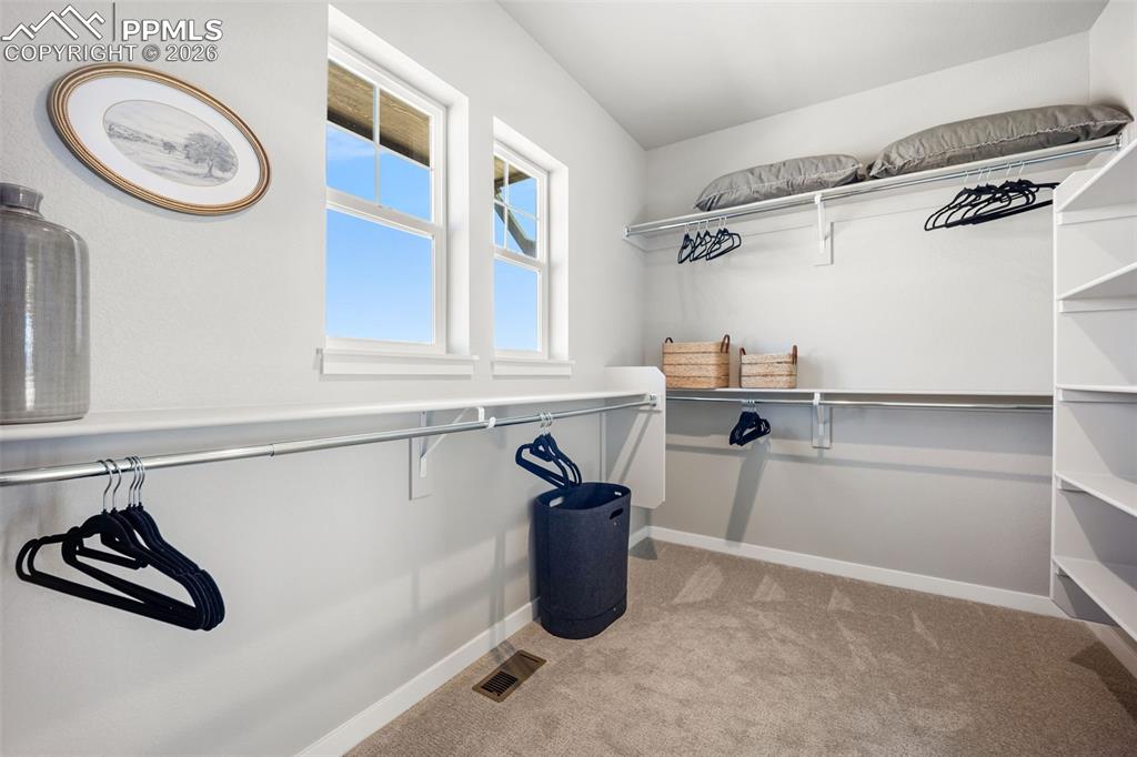 6460 Cribbage Trail Colorado Springs CO 80924