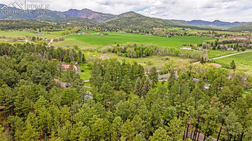 8684 Pine Drive Beulah CO 81023