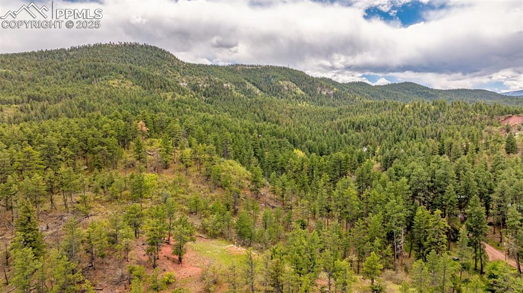 8684 Pine Drive Beulah CO 81023