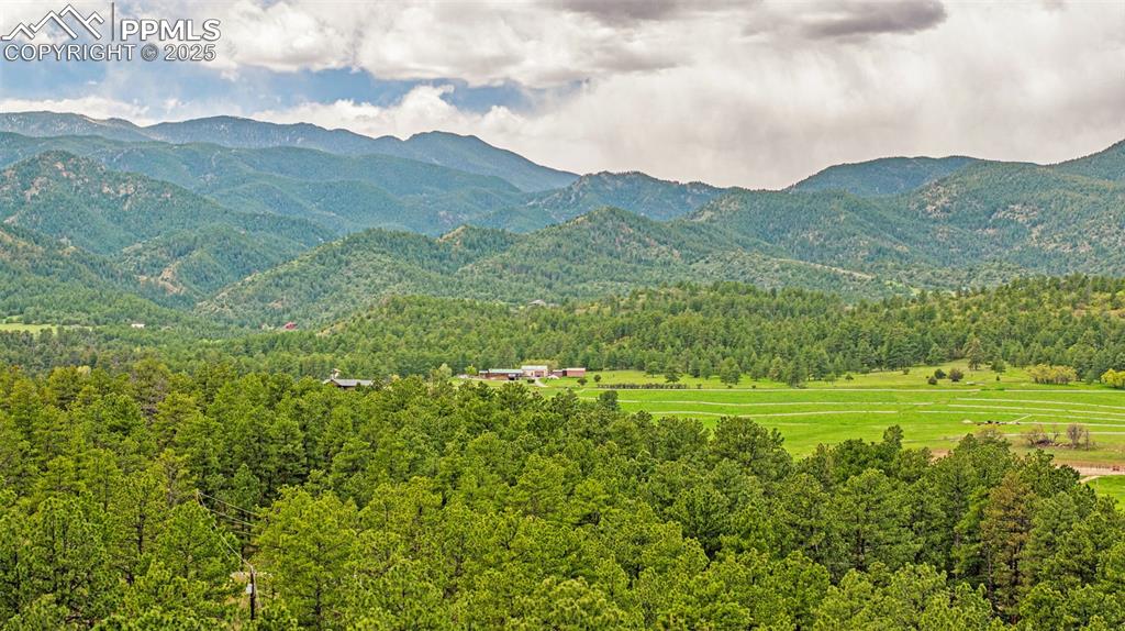 8684 Pine Drive Beulah CO 81023