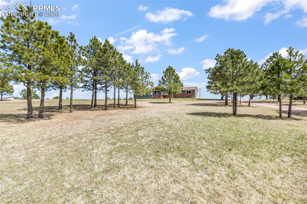 16735 High Tree Drive Elbert CO 80106