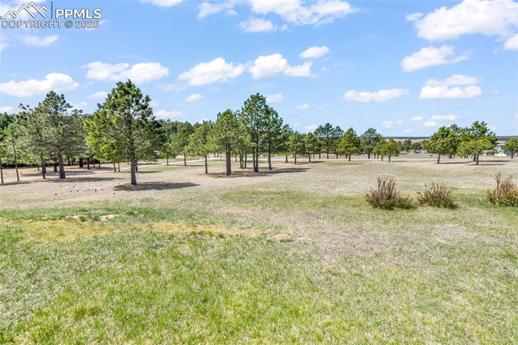 16735 High Tree Drive Elbert CO 80106
