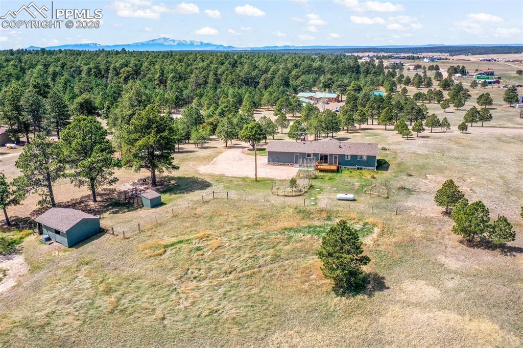 16735 High Tree Drive Elbert CO 80106