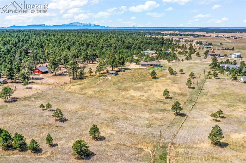 16735 High Tree Drive Elbert CO 80106