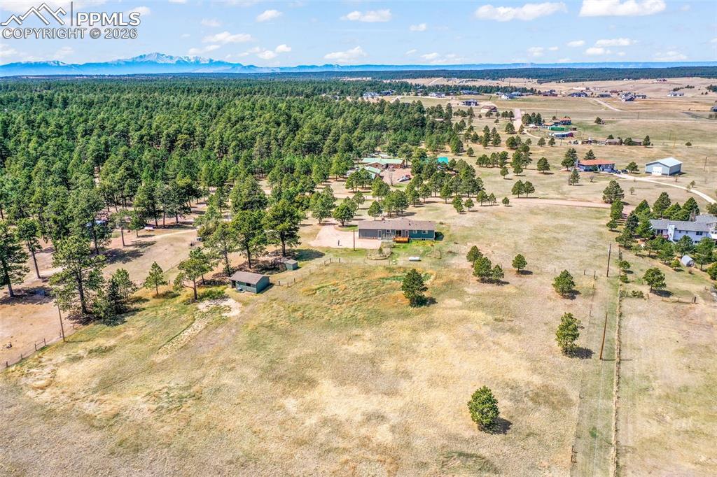 16735 High Tree Drive Elbert CO 80106