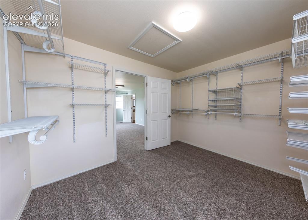 4310 Begonia Terrace Colorado Springs CO 80920