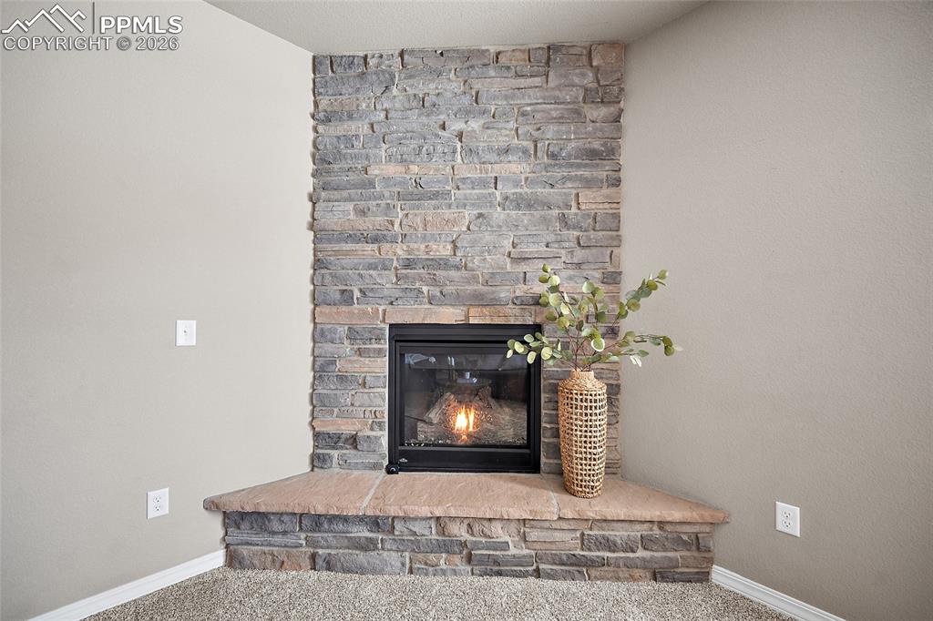 7185 Aspen Brush Court Colorado Springs CO 80908