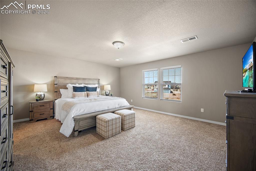 7185 Aspen Brush Court Colorado Springs CO 80908