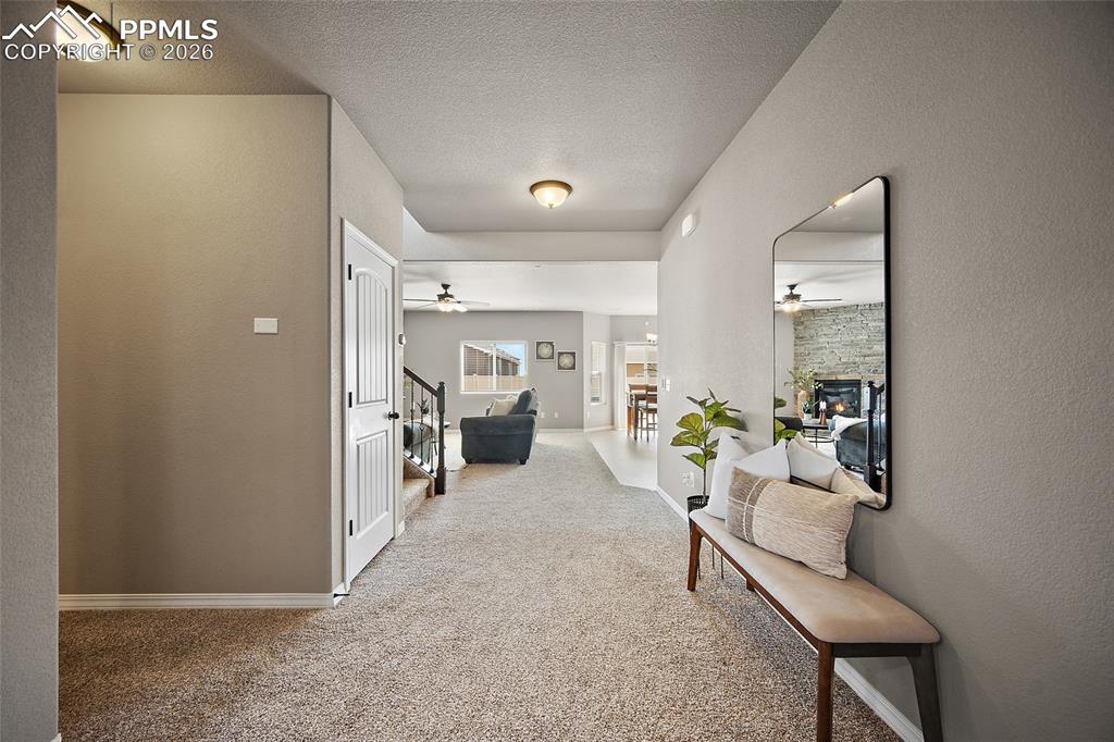 7185 Aspen Brush Court Colorado Springs CO 80908