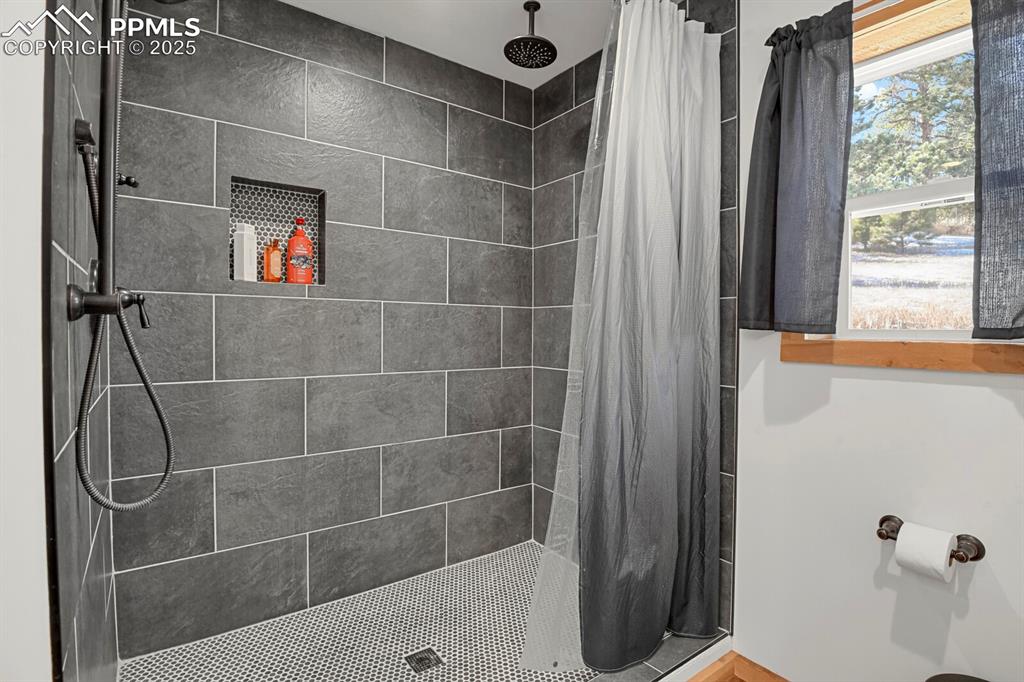 1053 Will Scarlet Drive Divide CO 80814