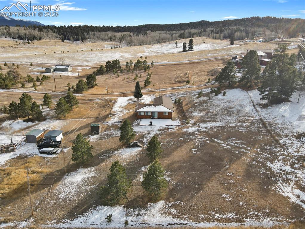 1053 Will Scarlet Drive Divide CO 80814