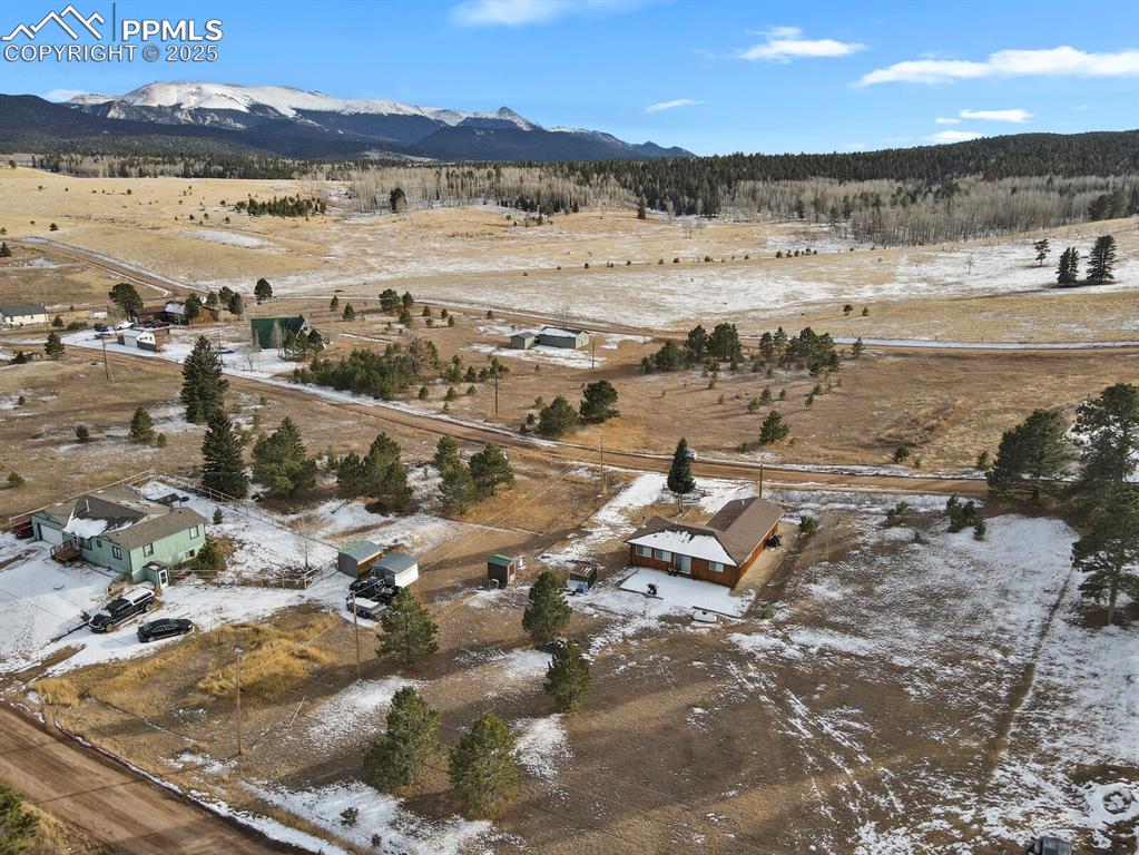 1053 Will Scarlet Drive Divide CO 80814