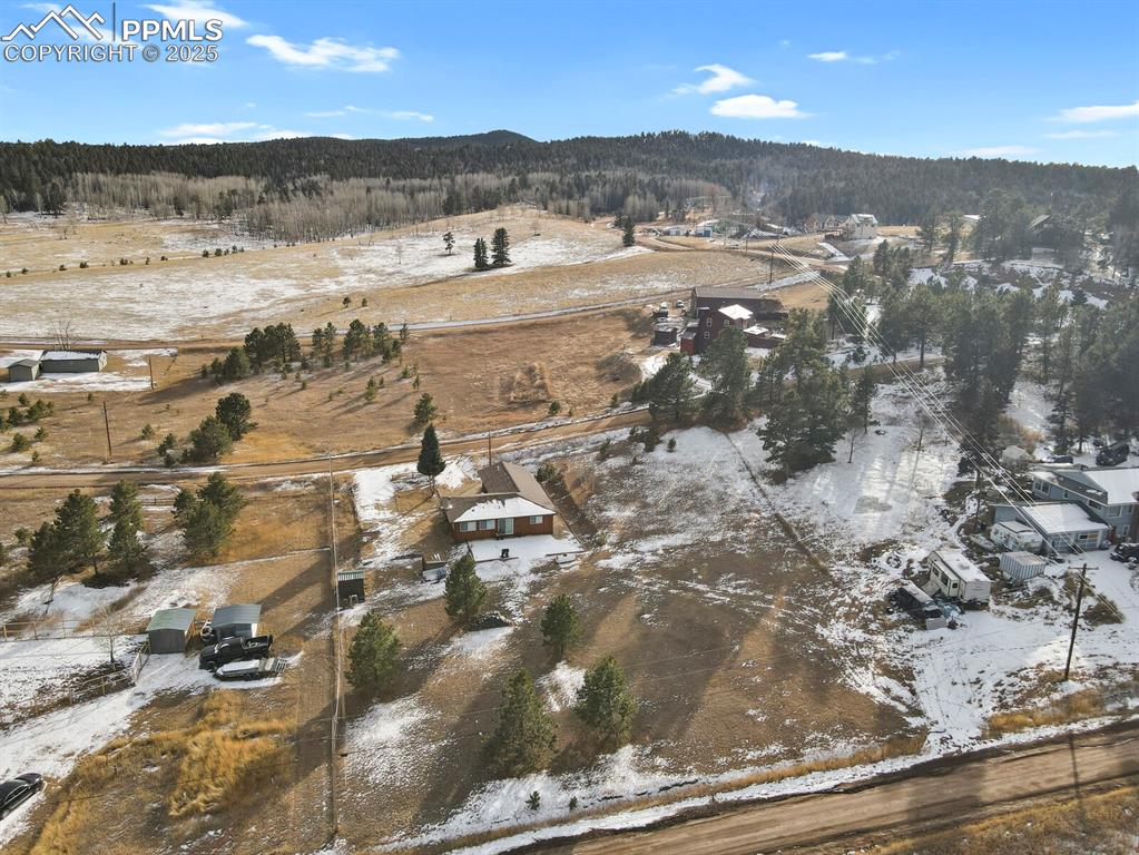 1053 Will Scarlet Drive Divide CO 80814