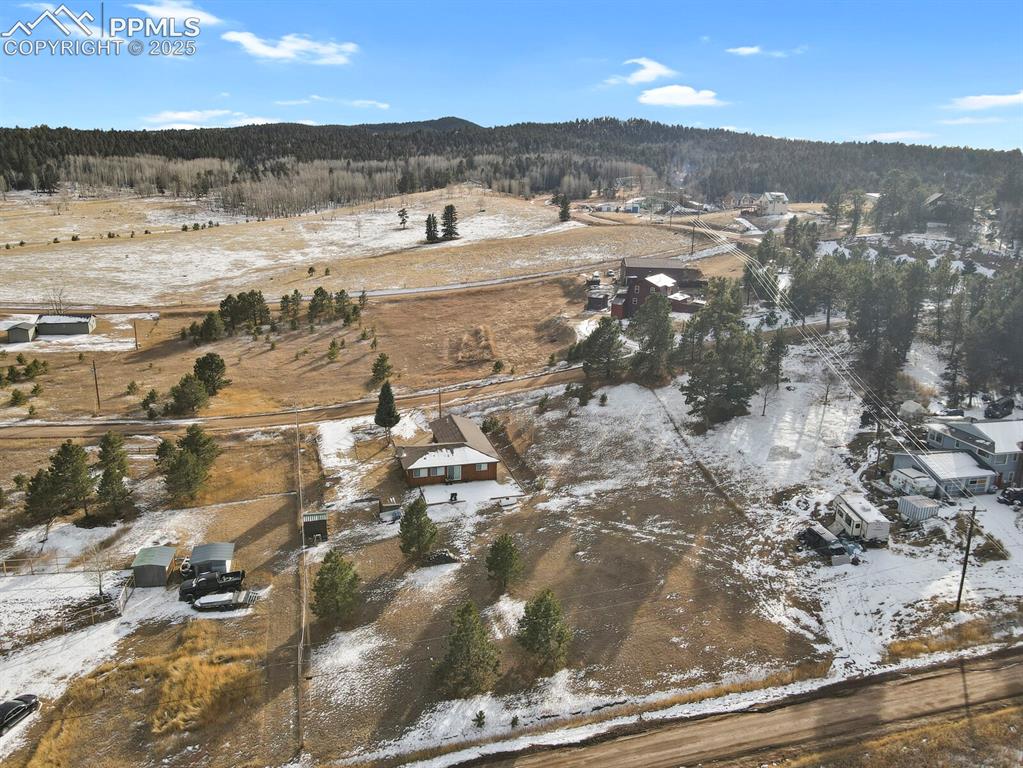 1053 Will Scarlet Drive Divide CO 80814