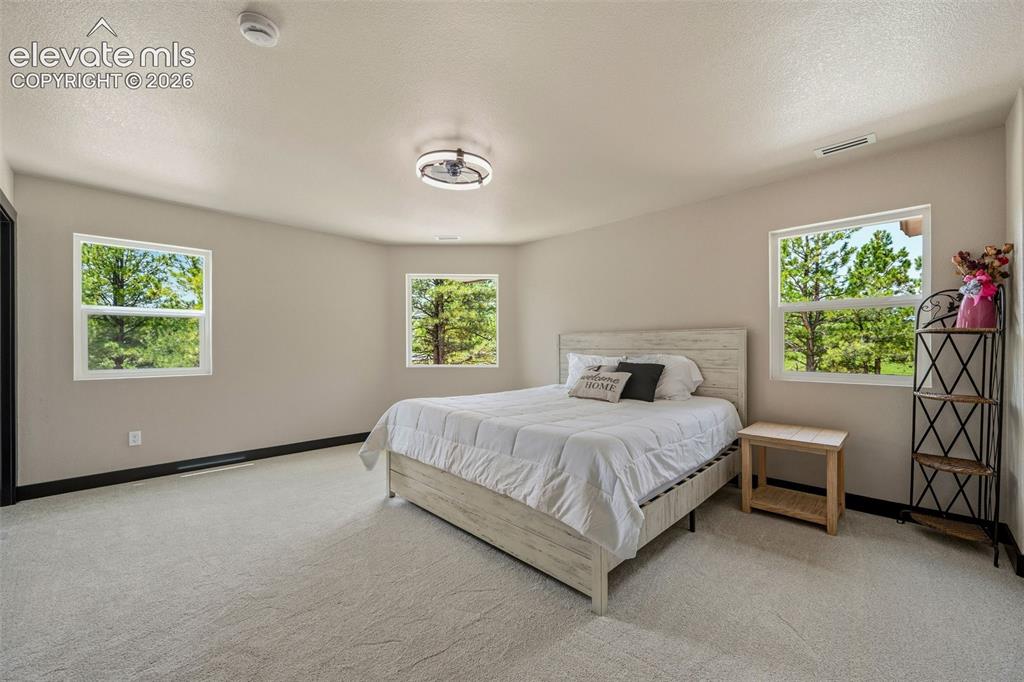19035 Purser Court Monument CO 80132