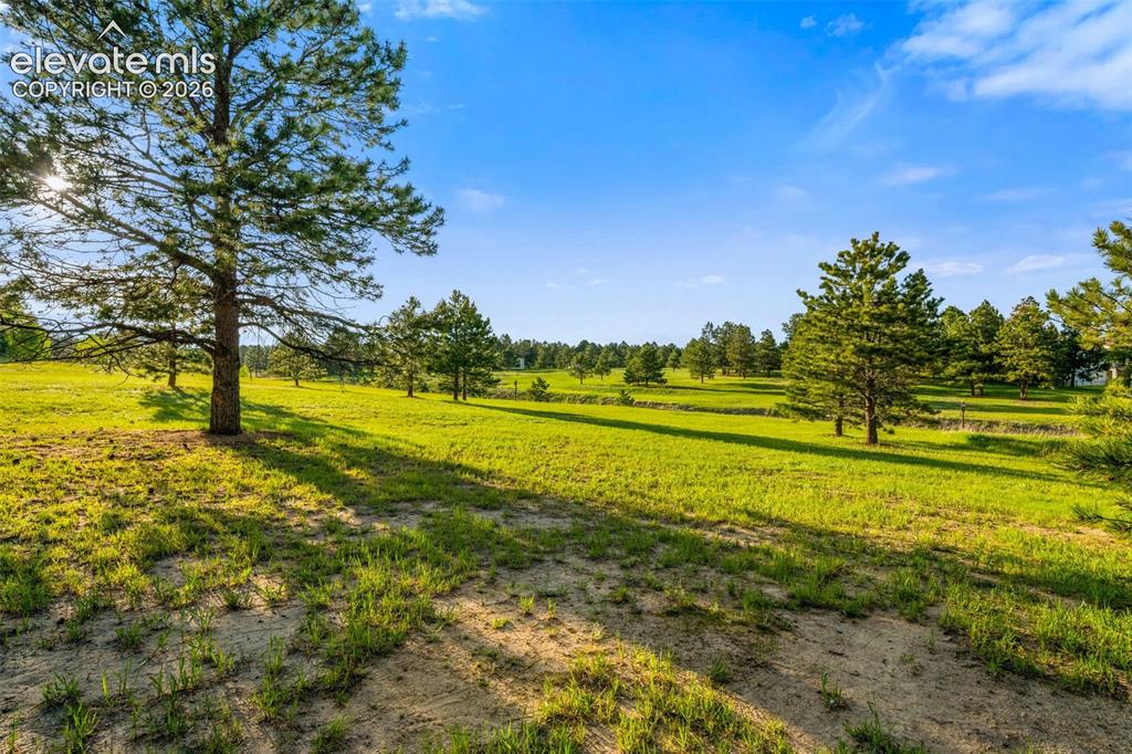 19035 Purser Court Monument CO 80132
