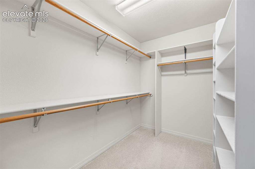 683 La Bourgade Point Colorado Springs CO 80906