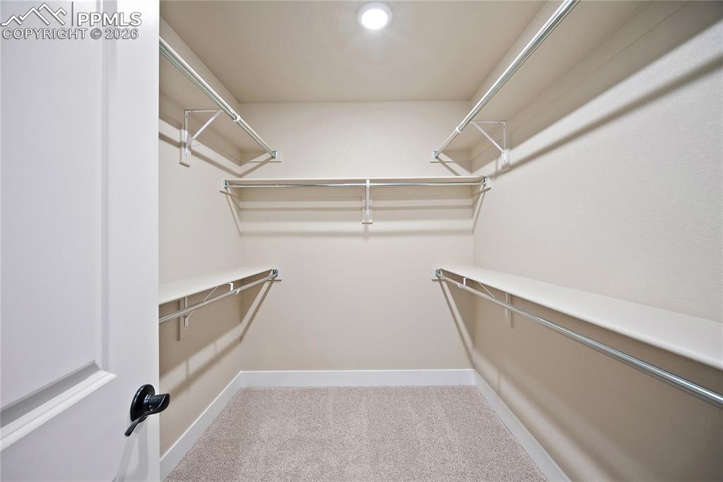 5349 Sidewinder Drive Colorado Springs CO 80925