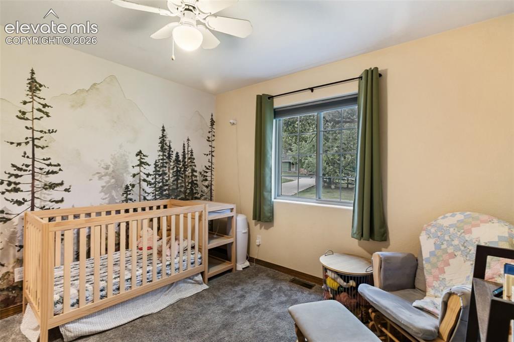 500 County Road Woodland Park CO 80863
