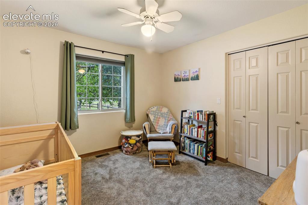 500 County Road Woodland Park CO 80863