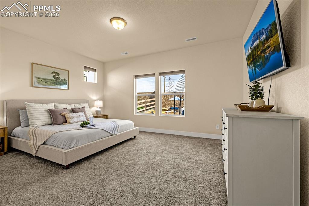 9329 Bugaboo Drive Colorado Springs CO 80924