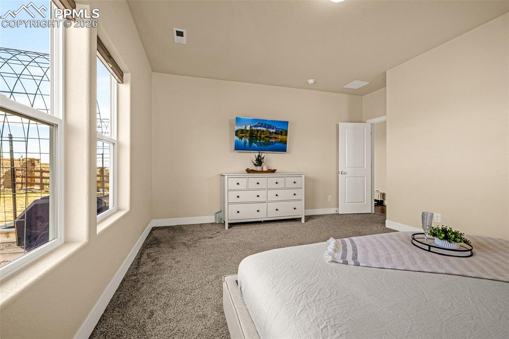 9329 Bugaboo Drive Colorado Springs CO 80924