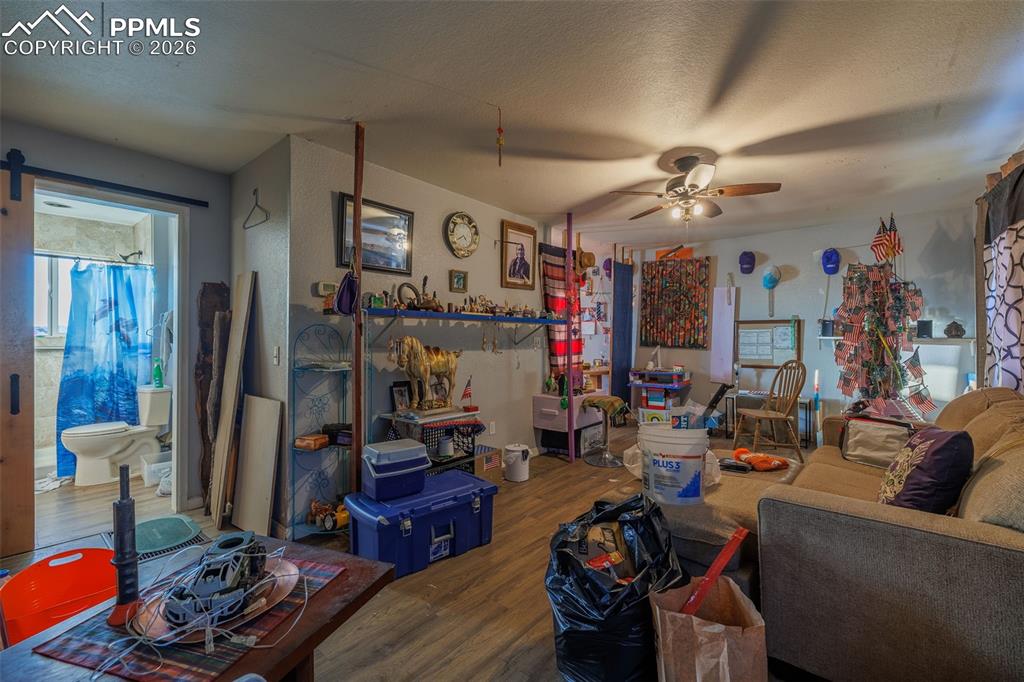 203 N Hayden Street Cripple Creek CO 80813