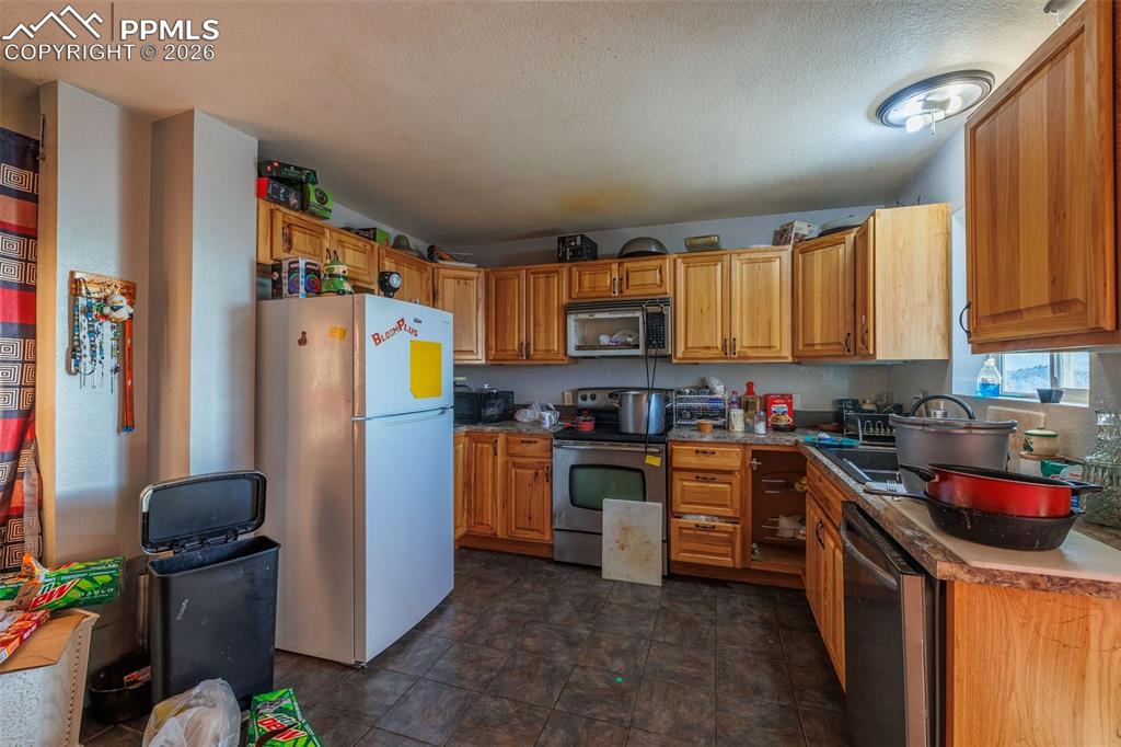 203 N Hayden Street Cripple Creek CO 80813