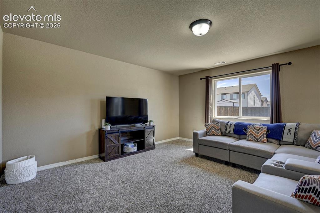 3641 Desert Willow Lane Colorado Springs CO 80925