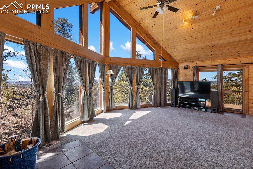 256 Elkhorn Road Florissant CO 80816