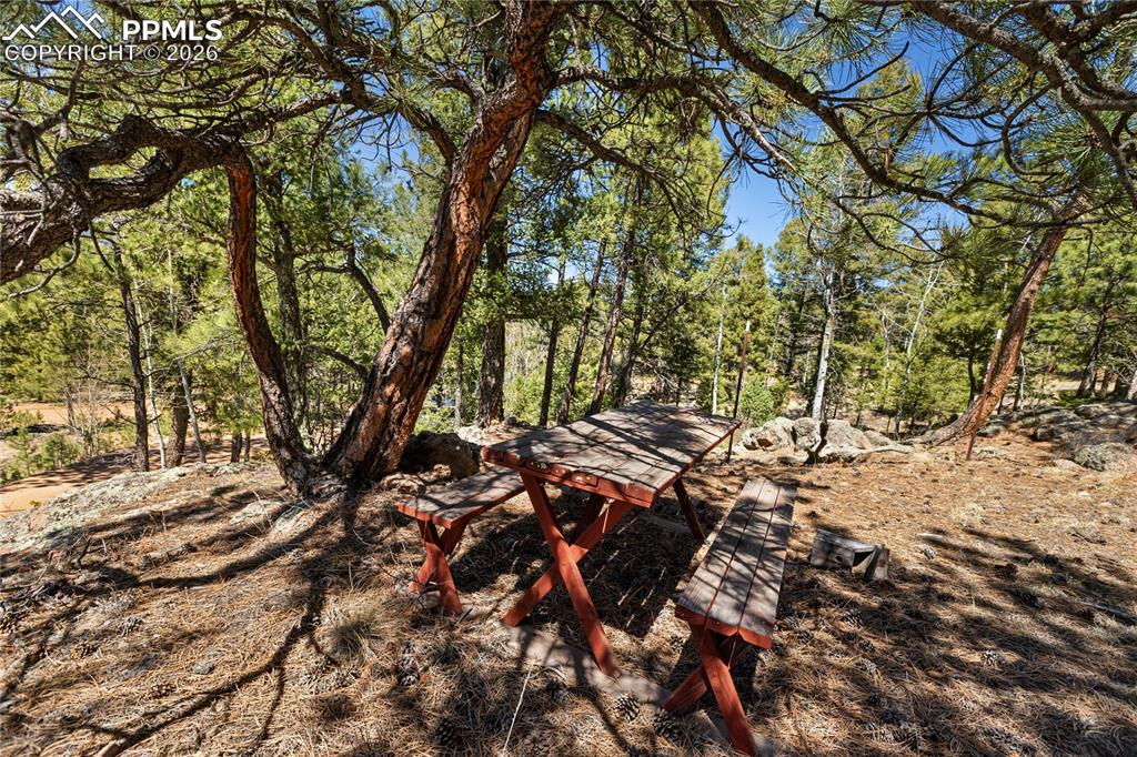 256 Elkhorn Road Florissant CO 80816