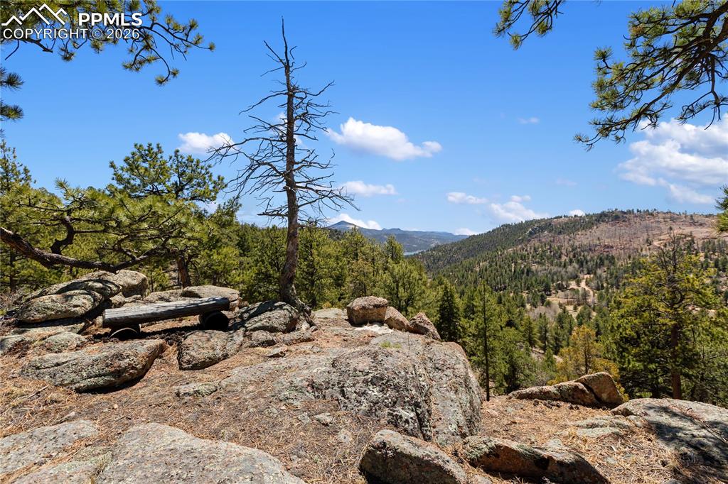 256 Elkhorn Road Florissant CO 80816