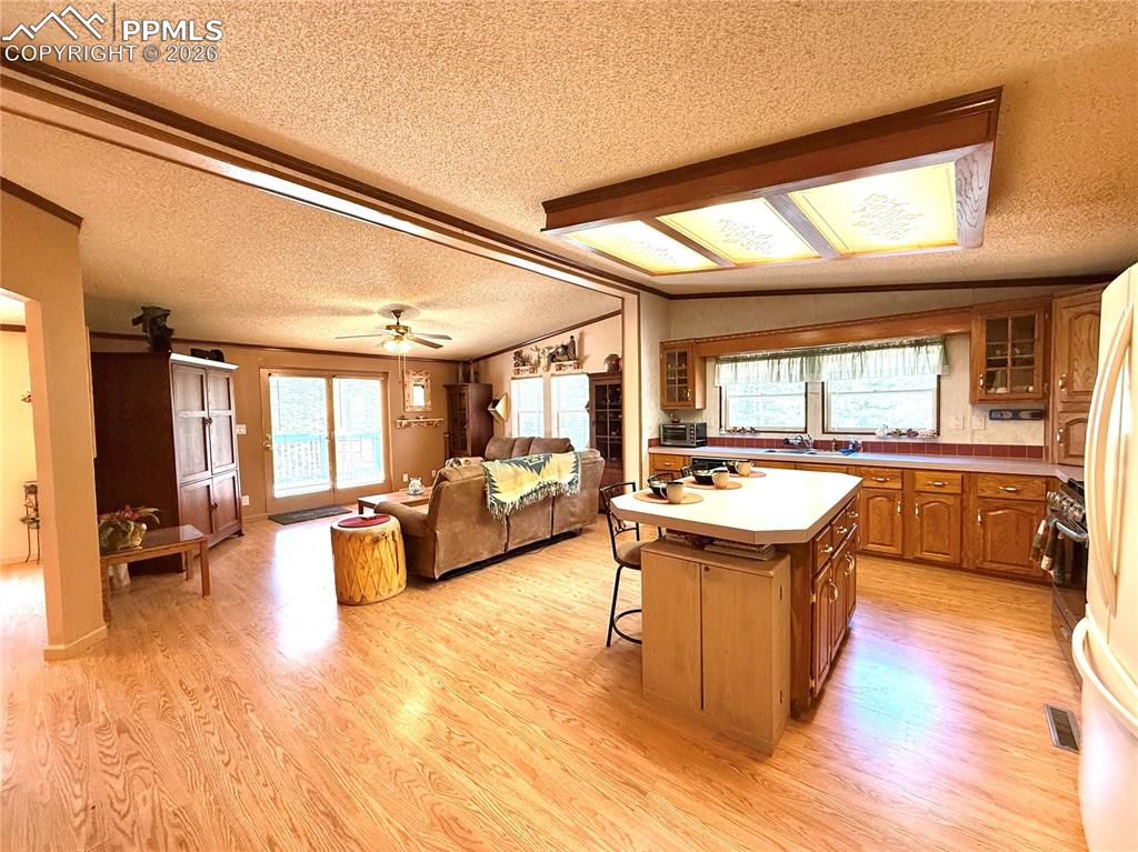 17 Amanda Circle Florissant CO 80816