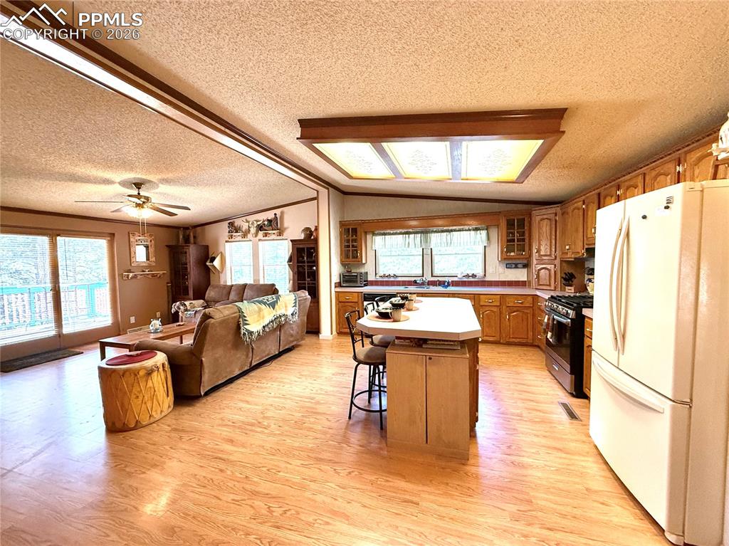 17 Amanda Circle Florissant CO 80816