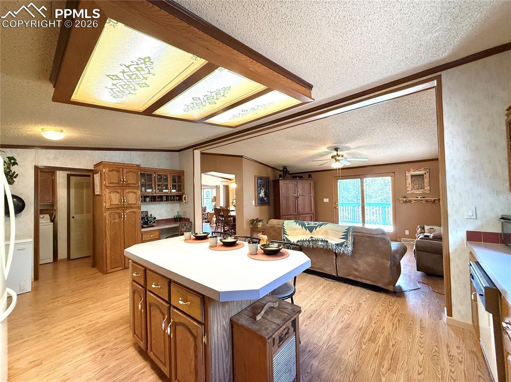 17 Amanda Circle Florissant CO 80816