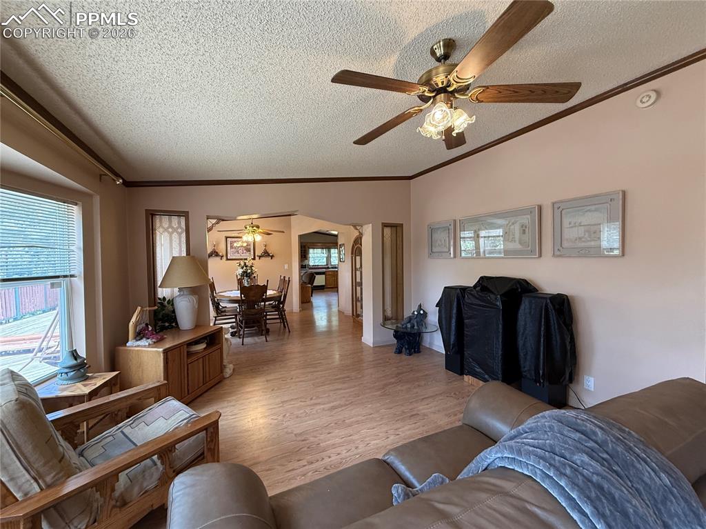 17 Amanda Circle Florissant CO 80816
