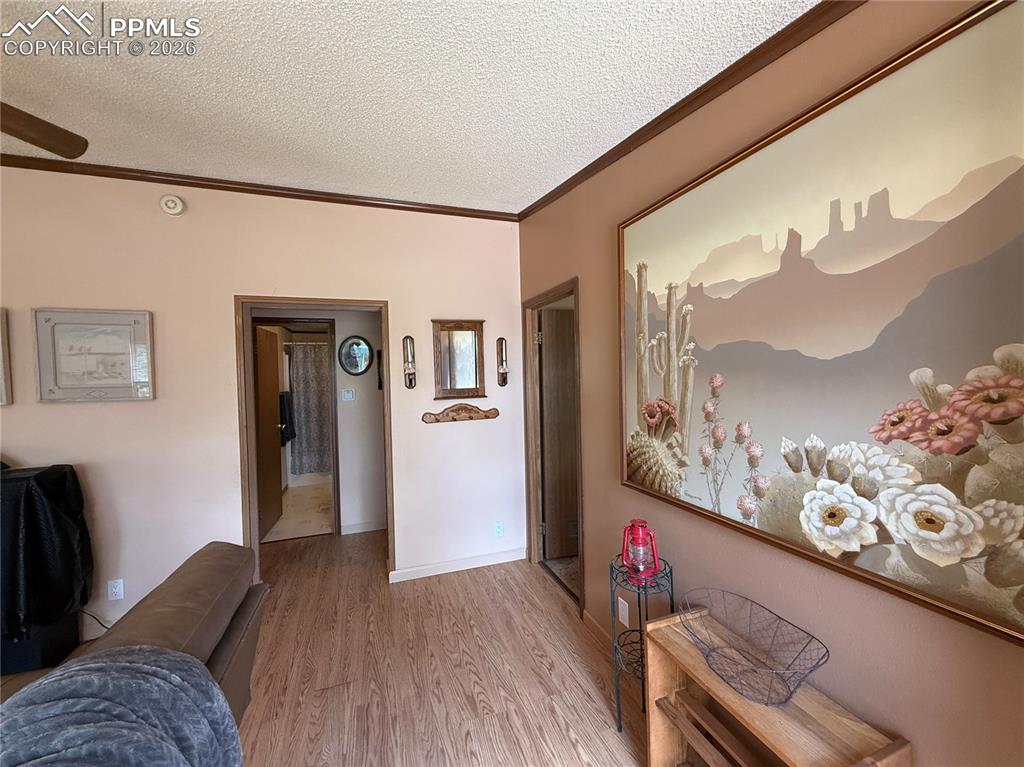 17 Amanda Circle Florissant CO 80816